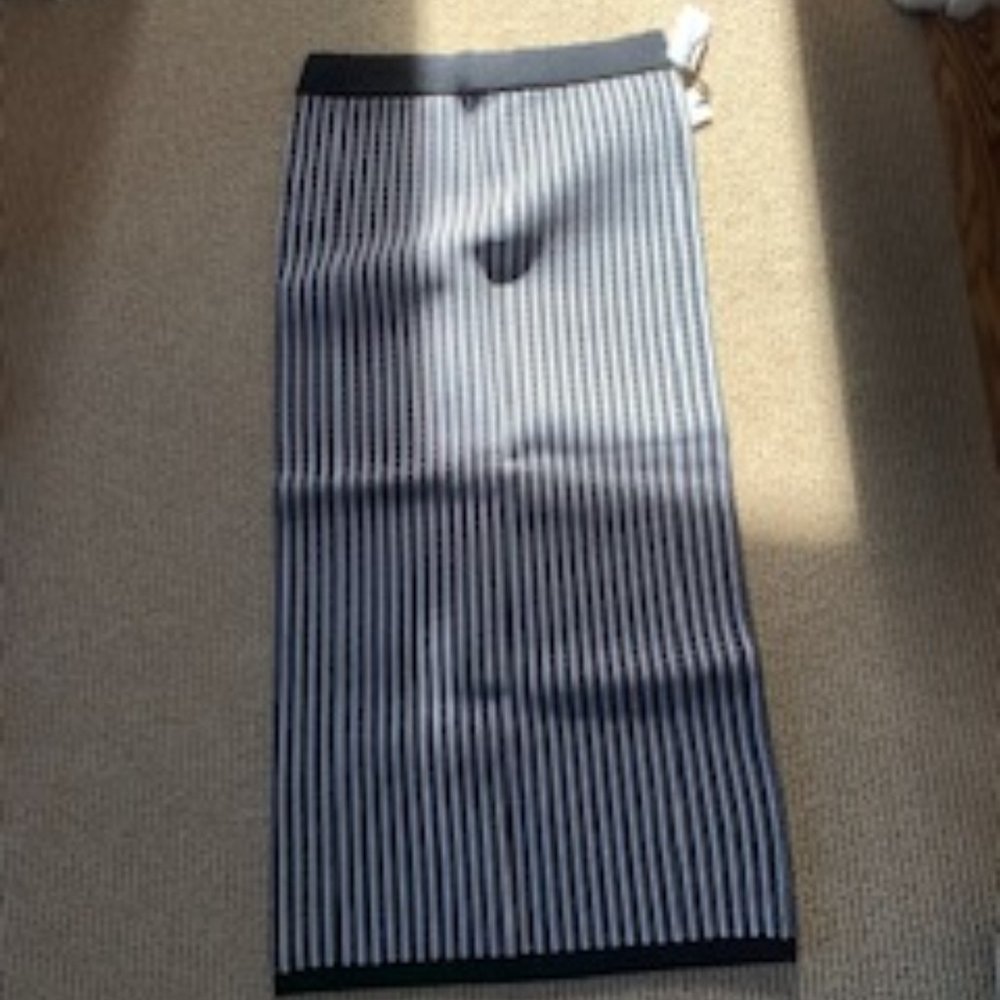 Aritzia pencil skirt